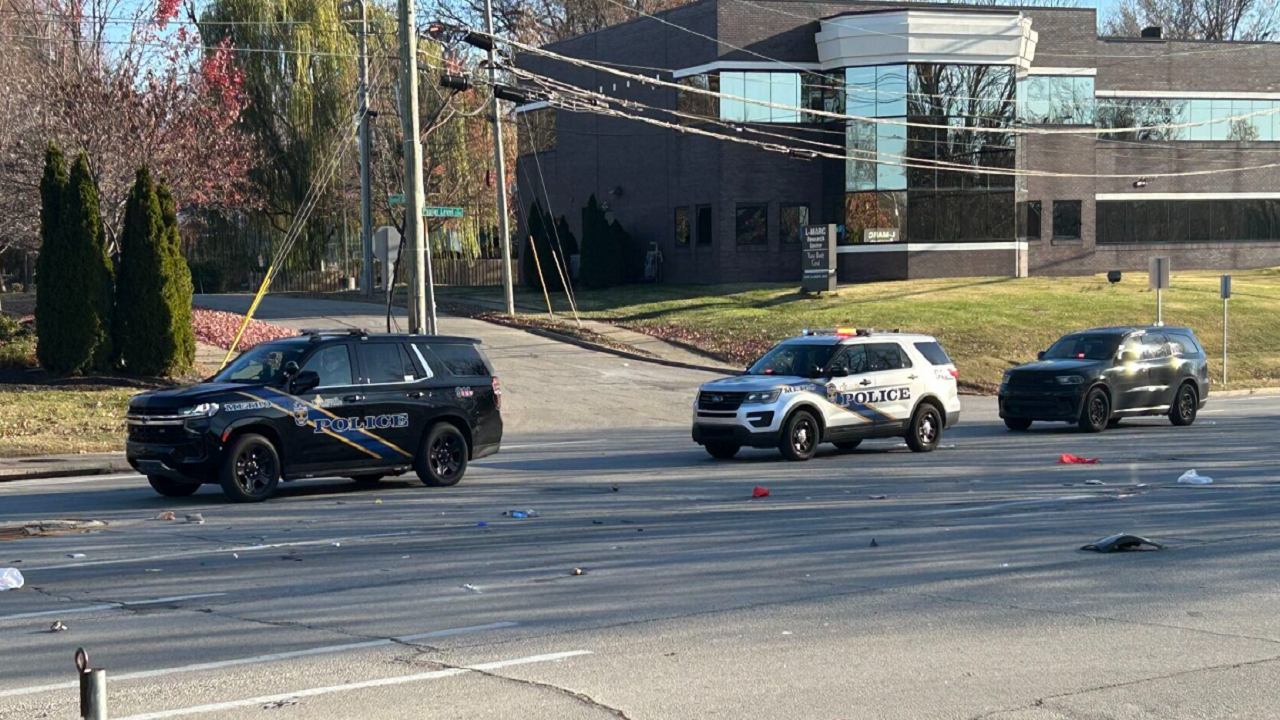Pedestrian hit on Poplar Level Road